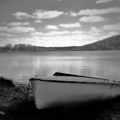 Spring, springtime, Eric le chien, Lac de Vassiviere, France, blossom, Limousin, de tout coeur limousin, forests, trees, Auphelle, haute vienne, Creuse, boats, 