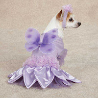 Dog Fairy Costume5