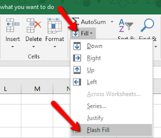 Cara otomatis entri data string di excel menggunakan menu Flash Fill