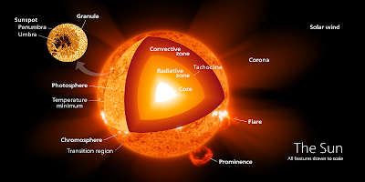 Cross section of the Sun