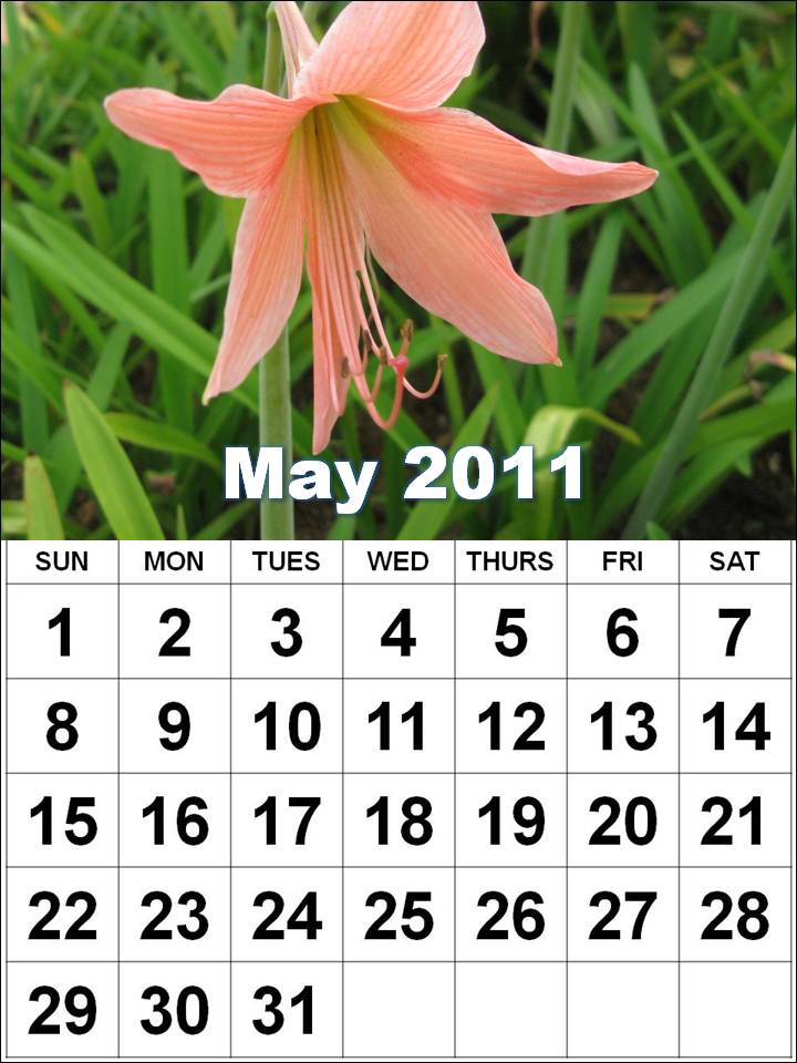 printable may calendar 2011. 2011 Calendar Printable Free.