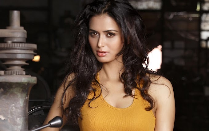 Meenakshi Dixit Wiki, Biography, Dob, Age, Height, Weight, Affairs and More
