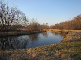 Elva jõgi Meeris