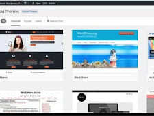 Tips on How to Install and Replace WordPress Themes