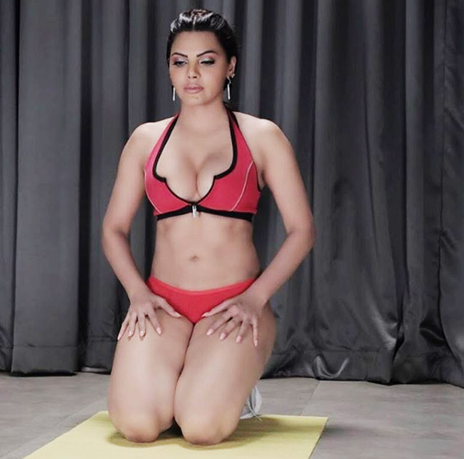 Sherlyn Chopra's sexy workout pics,navel pics