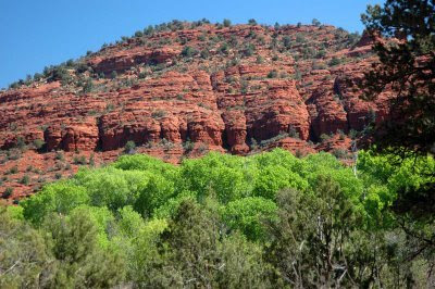 red rocks contrast with new spring leaves