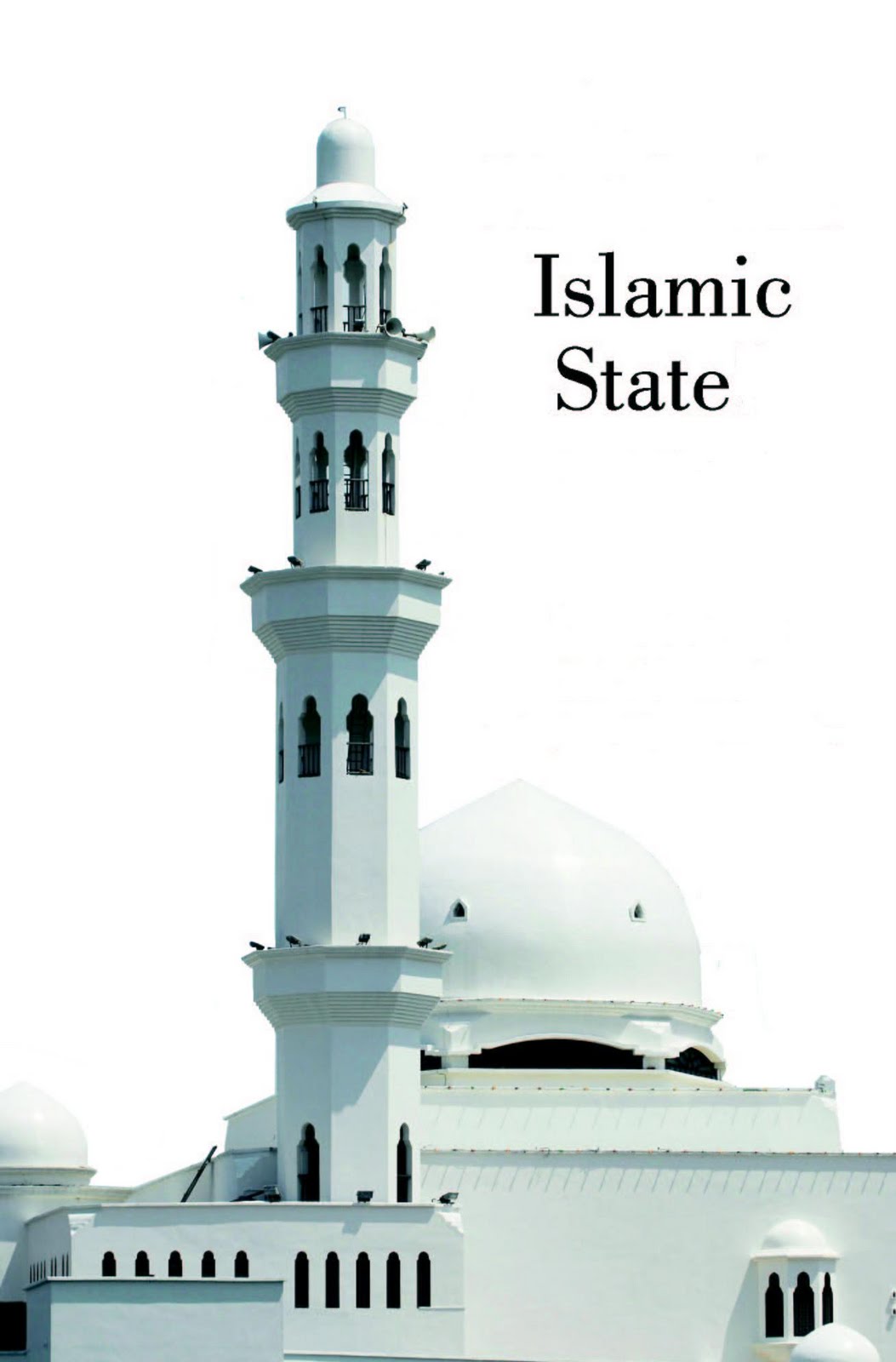 Role of Islamic State in Islam