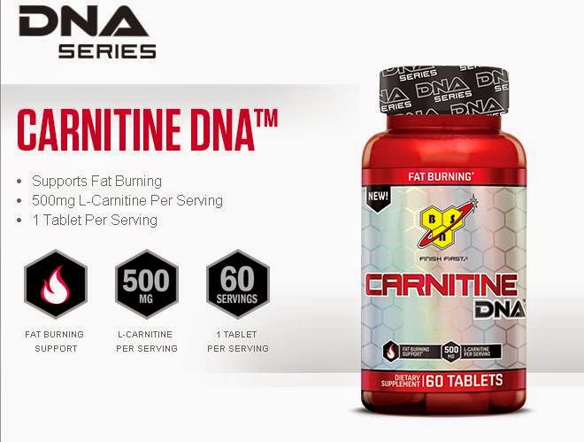 BSN DNA Series