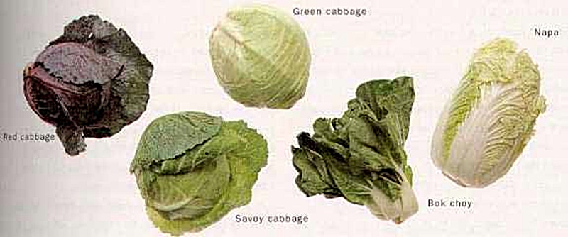 Kale Varieties