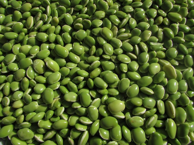 Proven Health Benefits Of Beans. Why It Should Be Part Of Your Diet