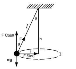 Conical pendulame
