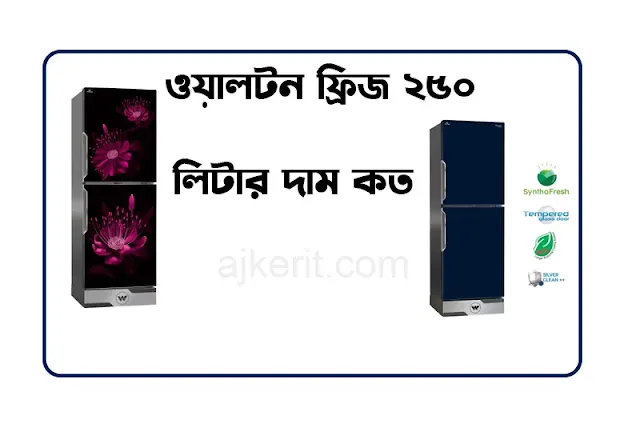 ওয়ালটন ফ্রিজ ২৫০ লিটার দাম কত