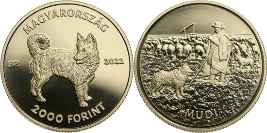 Hungary 2,000 forint 2022 - World Animal Day: Mudi