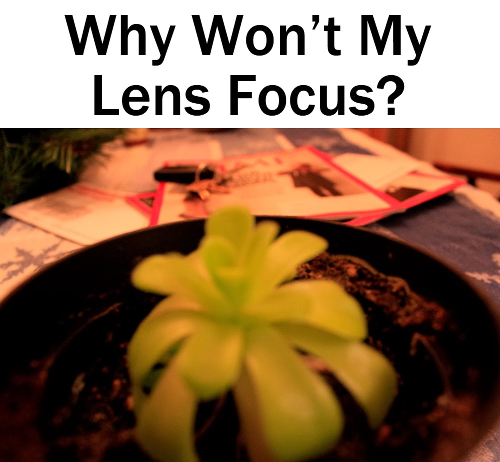 Why Won't My Lens Focus? | Boost Your Photography