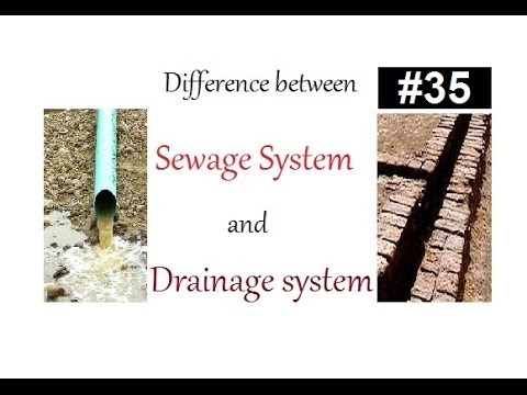 Difference between sewage system or drainage system