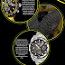    Festina Watches Infographic