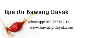 Bawang Dayak adalah