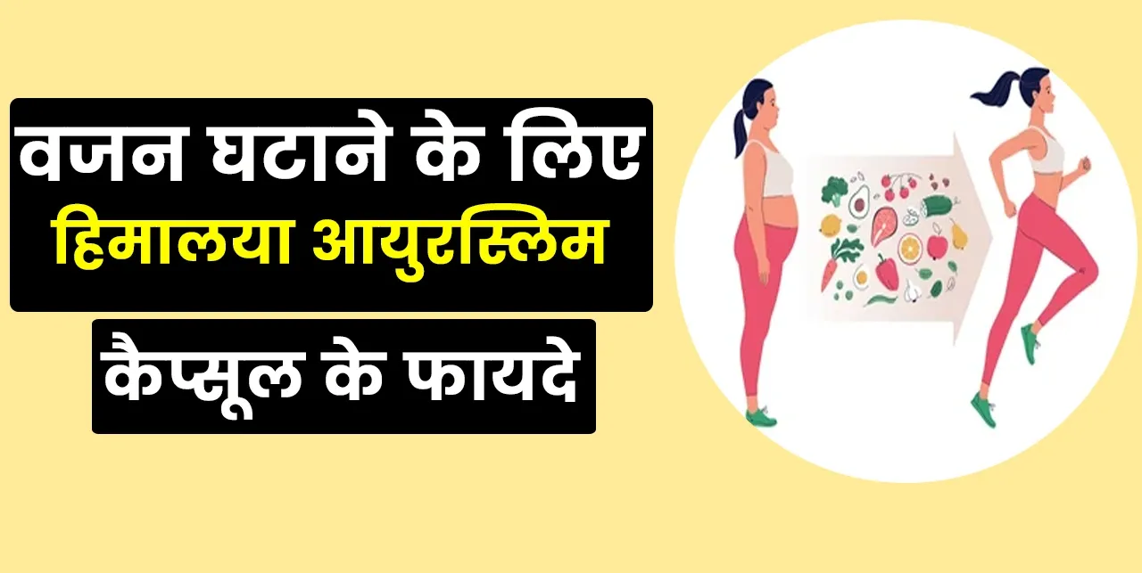 Ayurslim Capsules for Weight Loss in Hindi