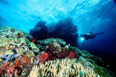 Keindahan Pulau Misool di Raja Ampat 