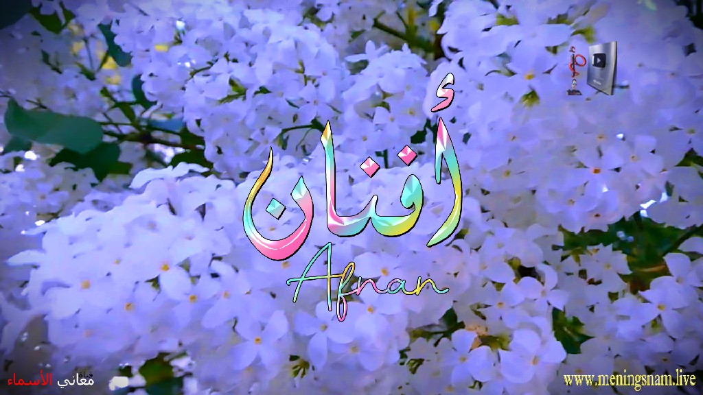 معنى اسم افنان, وصفات, حاملة, هذا الاسم, Afnan,