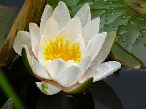 An Explication Of The Principles Of Wiccan Belief Part 5