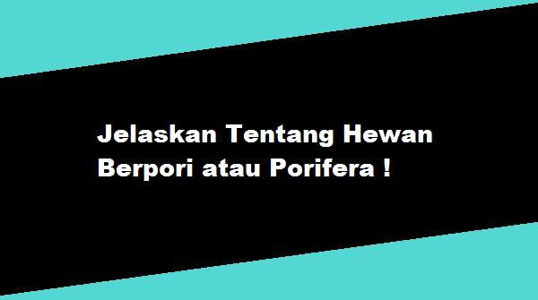  Jelaskan  Tentang  Hewan  Berpori atau Porifera TAHUKAH KAMU