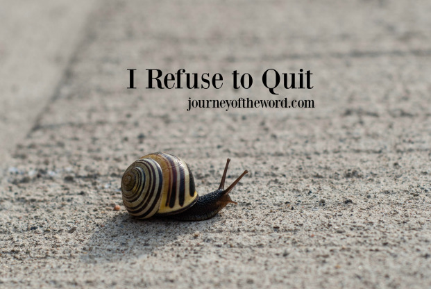 I refuse to quit Bible