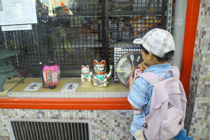 kid by japanese store window looking at maneki neko