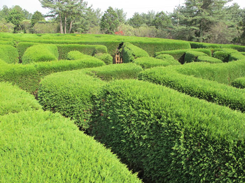 Gimnyeong Maze Park, South Korea