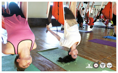 aerial yoga teacher training