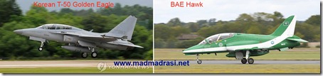 golden_eagle_vs_hawk golden_eagle_vs_hawk