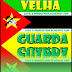 Velha Guarda (Album) 2011