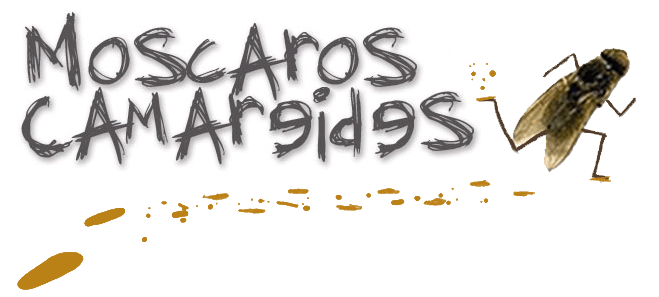 Moscaros Camareides