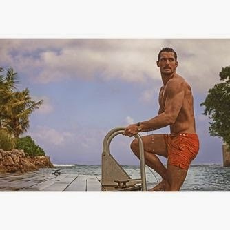 EMBARGOED UNTIL 7TH MAY - DAVID GANDY FOR AUTOGRAPH SWIM 2 - correct colour