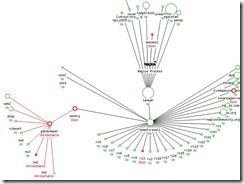 Nagios-Network-Connections