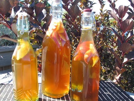 kombucha9