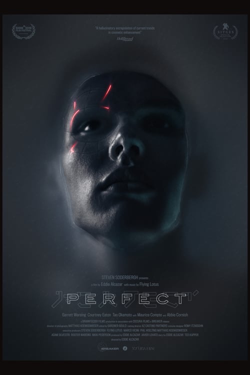 [HD] Perfect 2019 Film Complet En Anglais