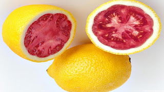 Lemato fruit image wallpaper