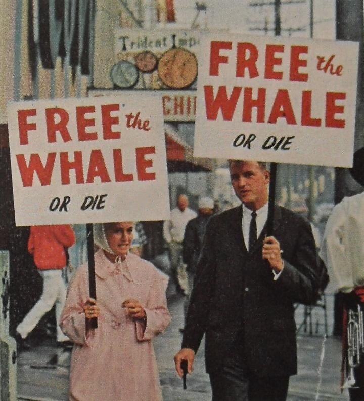 Free The Whale