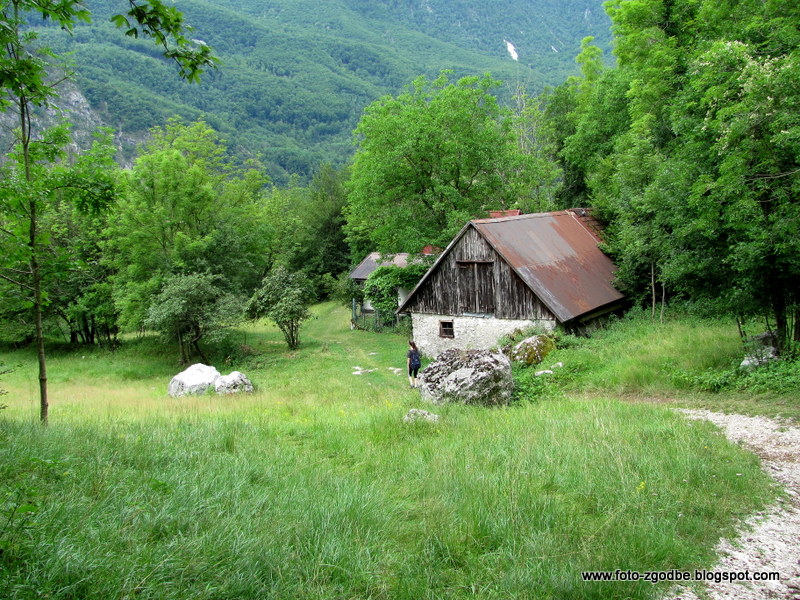 Slovenija, Posočje