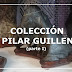Colección Suisekis de Pilar Guillen I (España)