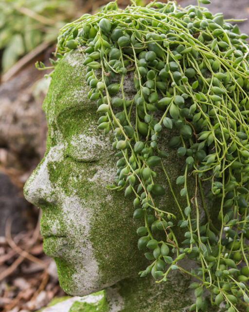 How To Make Cement Head Planter