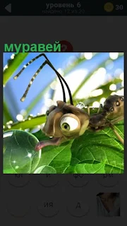  по листочку ползет муравей с крупными глазами и усами