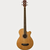 acoustic bass guitar