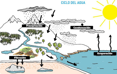 El Ciclo del Agua y sus fases