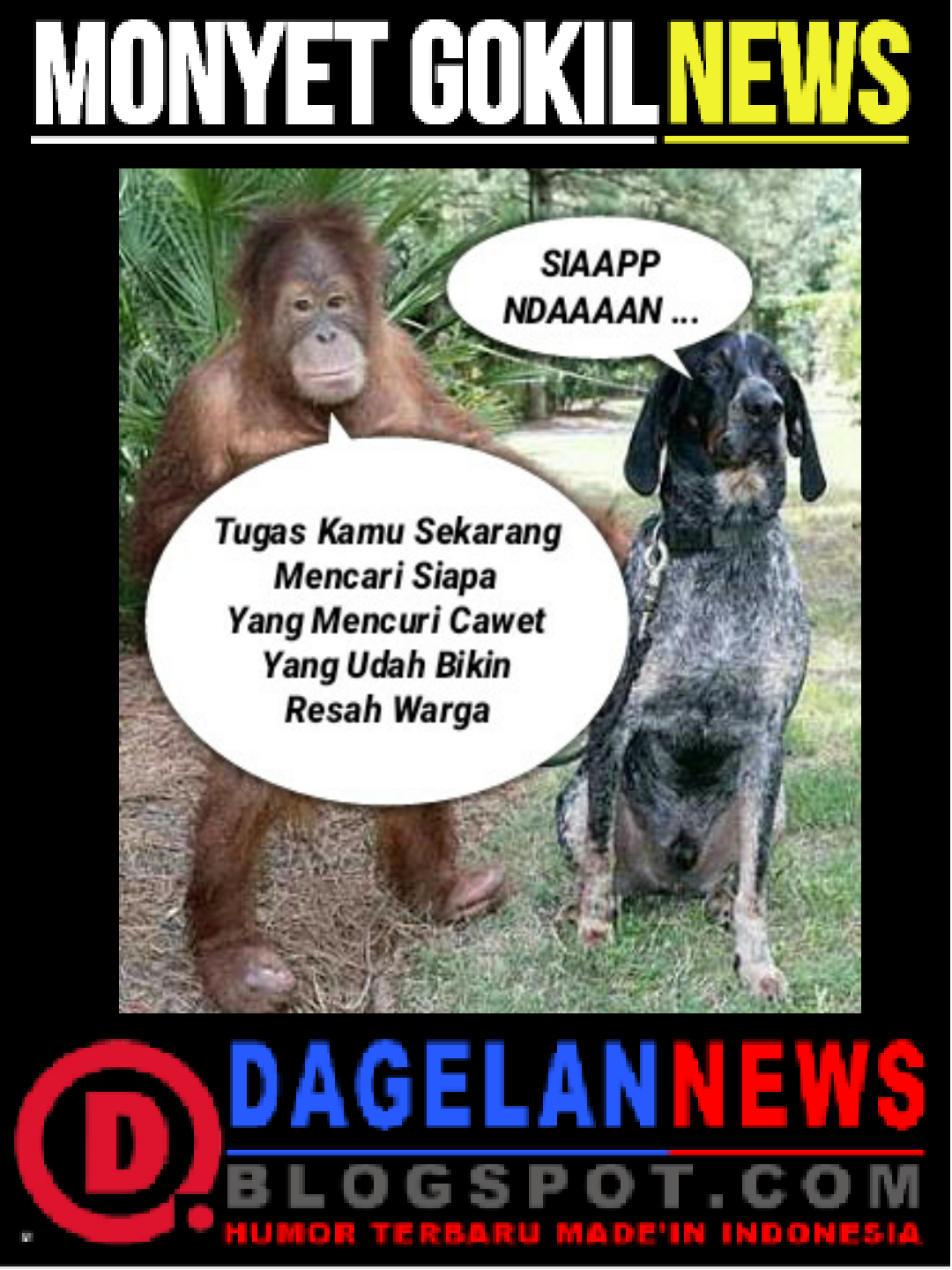 GAMBAR LUCU MONYET CURHAT DAGELAN NEWS