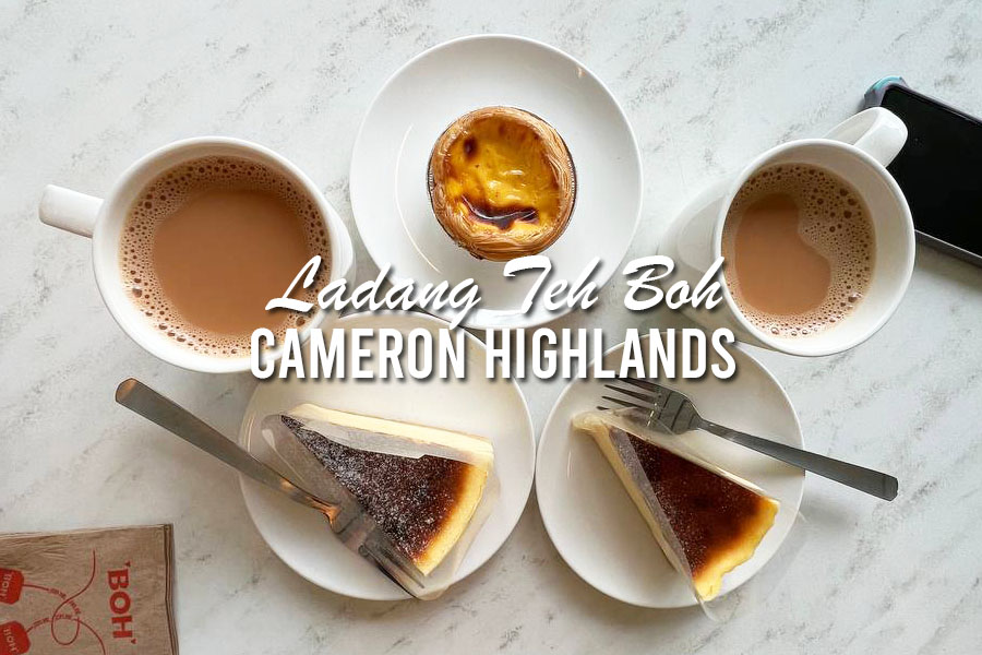 Ladang Teh Boh Brinchang Cameron Highlands,  teh tarik di ladang teh boh cameron highlands, boh tea cameron highlands,