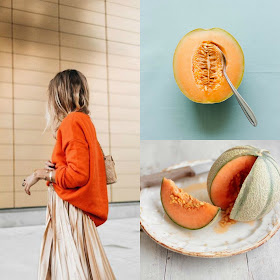 Il Melone: perché fa bene e quali sono le sue proprietà e i suoi benefici