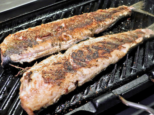 hareng grillé