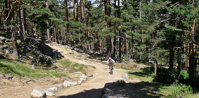 Cercedilla-Camino Puricelli- Puerto Fuenfria- Camino schmidt- Pto Navacerrada-Wisthler-Cercedilla